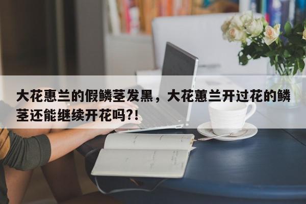 大花惠兰的假鳞茎发黑，大花蕙兰开过花的鳞茎还能继续开花吗?！-第1张图片-我家生活百科