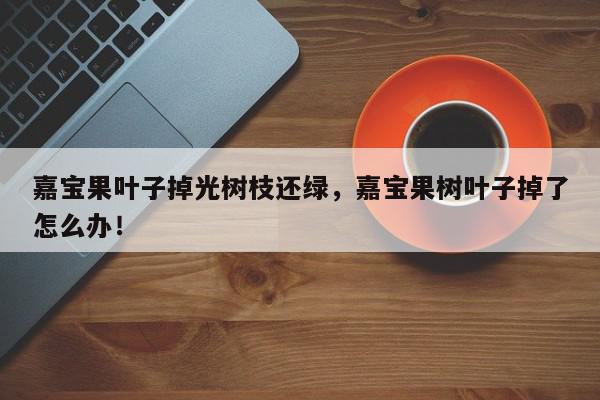 嘉宝果叶子掉光树枝还绿，嘉宝果树叶子掉了怎么办！-第1张图片-我家生活百科