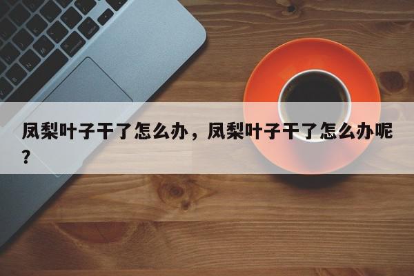 凤梨叶子干了怎么办，凤梨叶子干了怎么办呢？-第1张图片-我家生活百科
